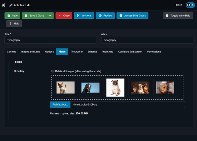 <?php echo $singleFile; ?>