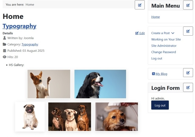 DogsLife backend dashboard